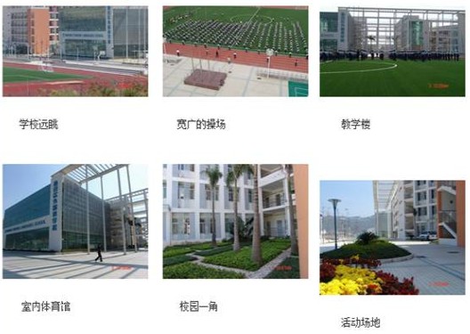 深圳盐田政府在线