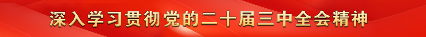 学习贯彻党的二十届三中全会精神