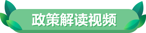政策解读视频