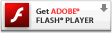 获取最新 Adobe Flash Player