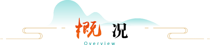 概况