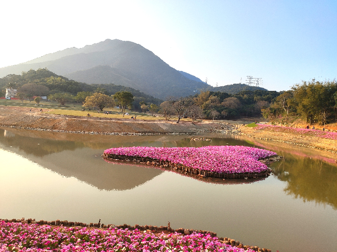 湿地公园.jpg