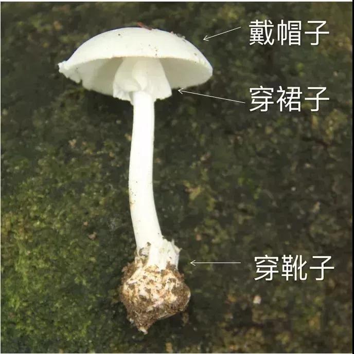 微信图片_20210310150041.jpg