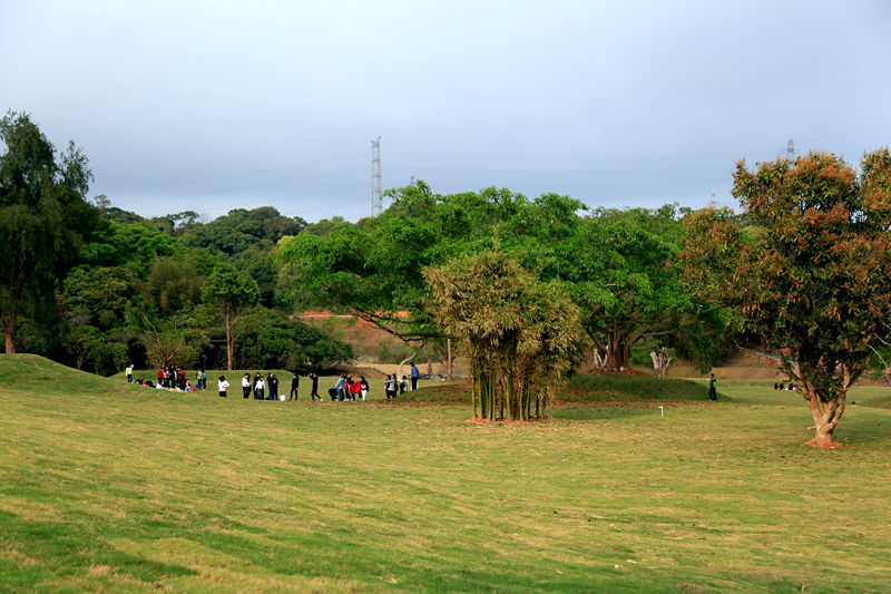 半山公园风景图 (2).JPG