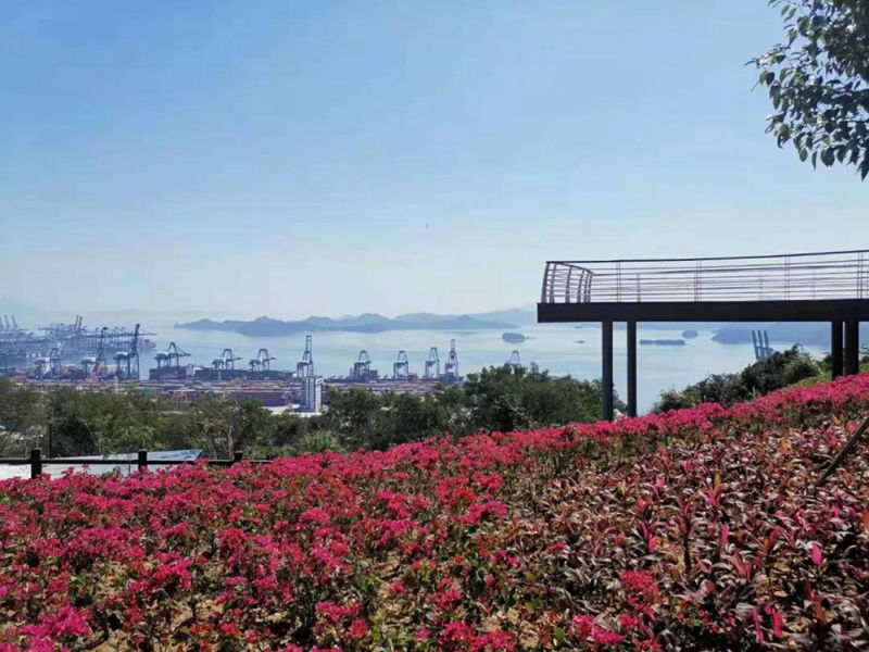 半山公园风景图 (4).jpg