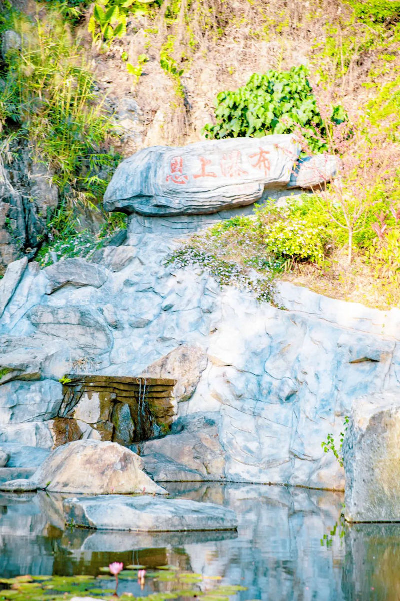 半山公园风景图 (9).jpg