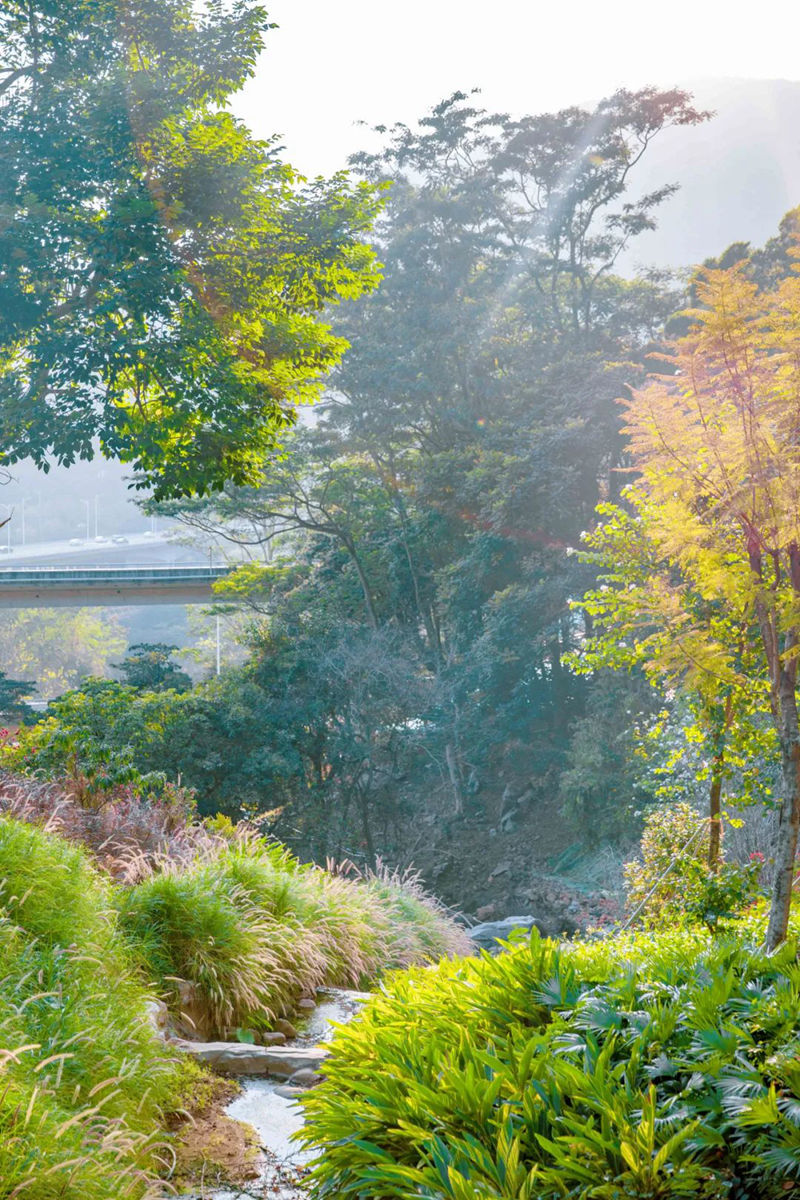 半山公园风景图 (10).jpg