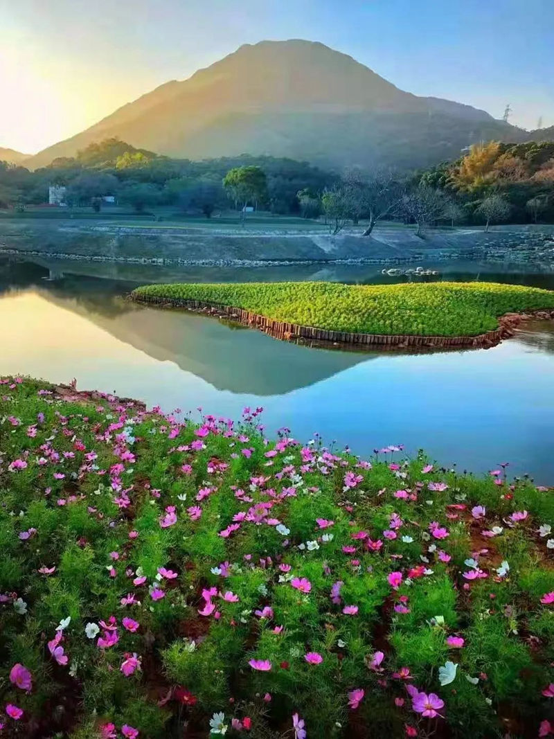半山公园风景图 (12).jpg