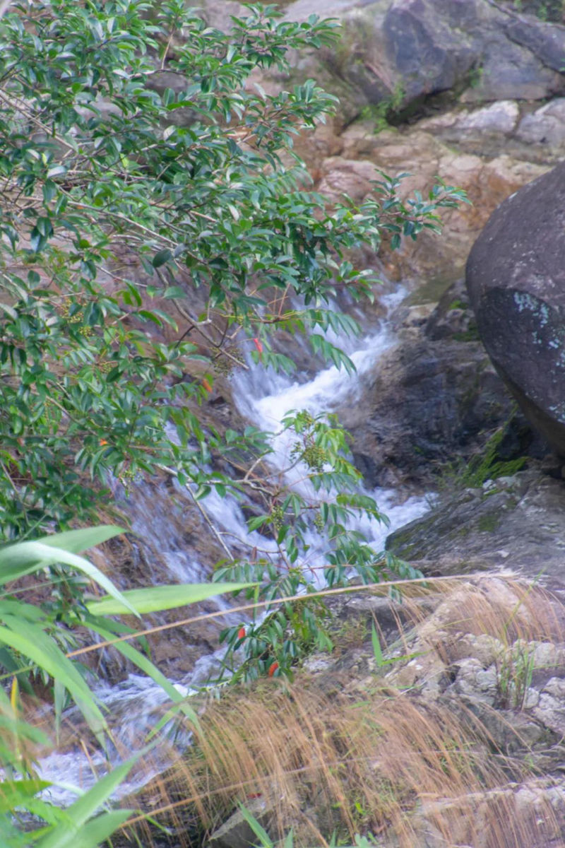 半山公园风景图 (15).jpg