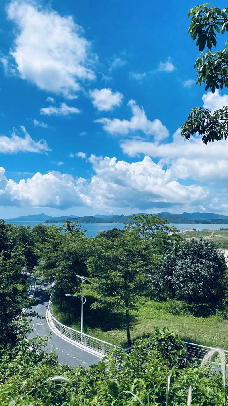 海滨栈道风景照 (11).jpg