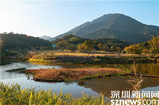 7305ff2d-b6cb-406d-a7b4-d9aad4f84298_batchwm.jpg