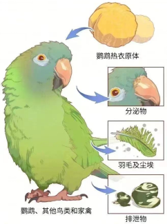 图片13.png