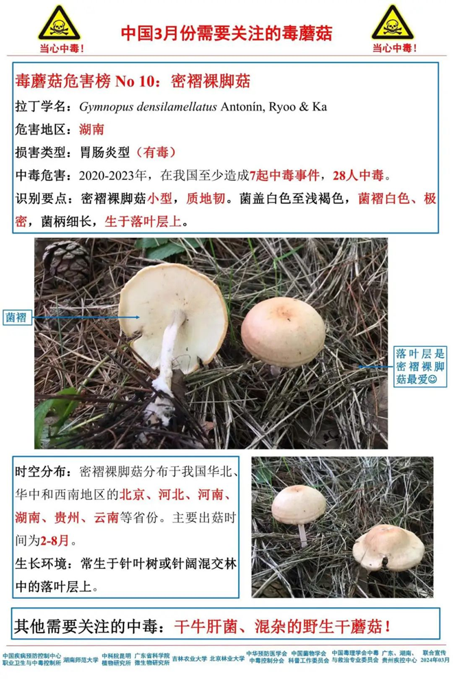 图片10.png