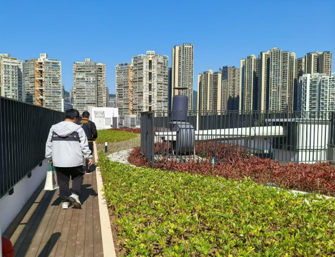 已编辑图片