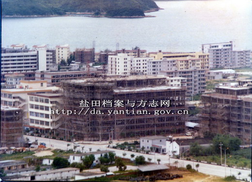 新档案查阅大厅