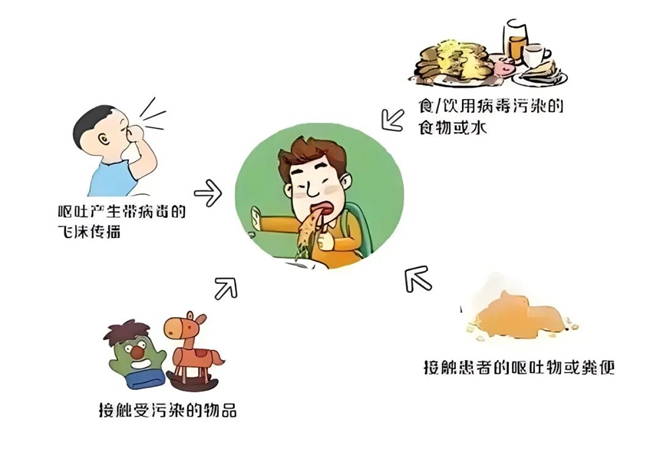 微信图片_20241217172123.jpg