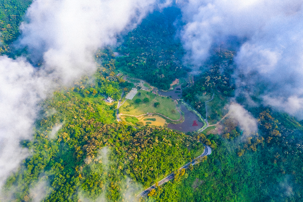 梧桐山森林会客厅