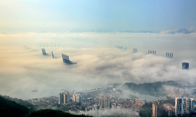 雾中的盐田港