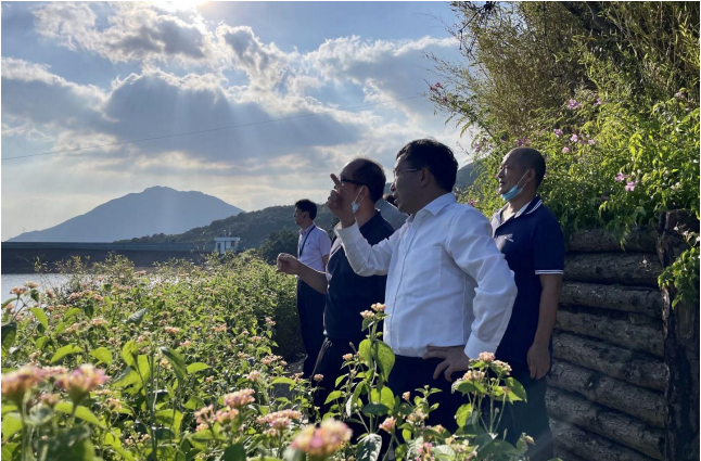 盐田区领导张雄汉同志检查绿化品质项目建设情况并布置安全防范工作